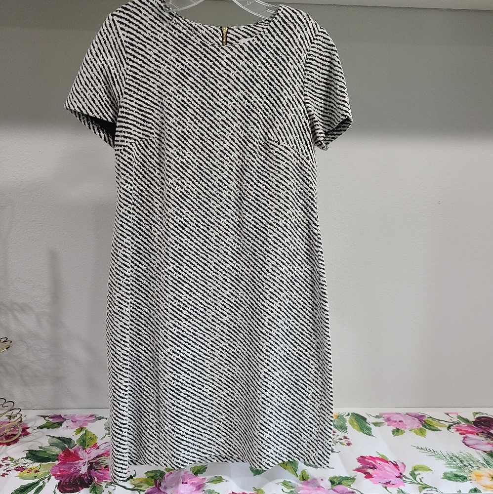 Calvin Klein Work Dress